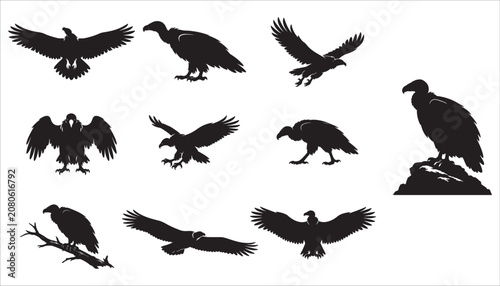 Set of black vulture silhouettes in various flying poses
