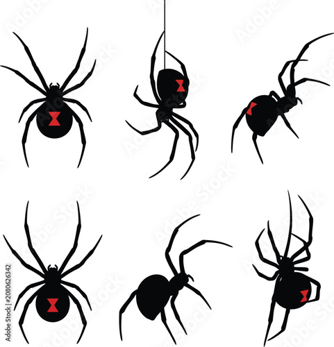 Black widow spider silhouettes in various poses on a white background