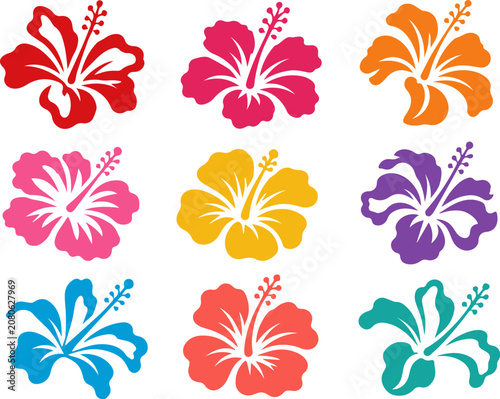 Vibrant collection of hand drawn hibiscus flower illustrations featuring colorful tropical floral designs arranged in a clean grid layout. Ideal for summer branding, botanical projects, beach themes.
