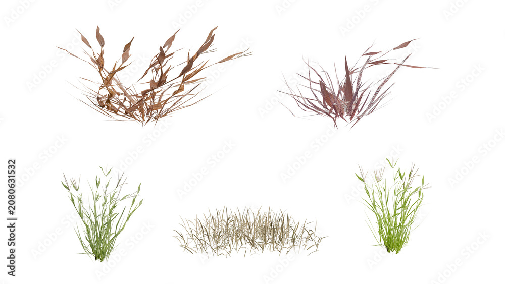 Fototapeta premium High-quality 3d render of various dry and green grass clumps isolated on black background, perfect for nature, landscaping, and design projects.