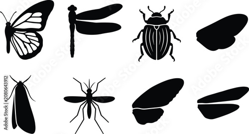 Fotografie Collection of insect and butterfly silhouettes for nature, entomology, and wildl