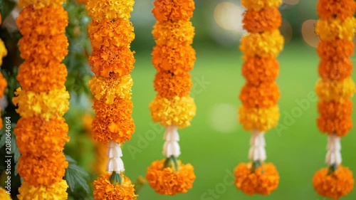 Vibrant orange and yellow marigold garlands hanging in a garden for a festive celebration bokeh shot.
