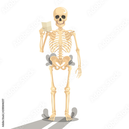 Obraz na plátně Standing human skeleton holding a small paper note, isolated on white background