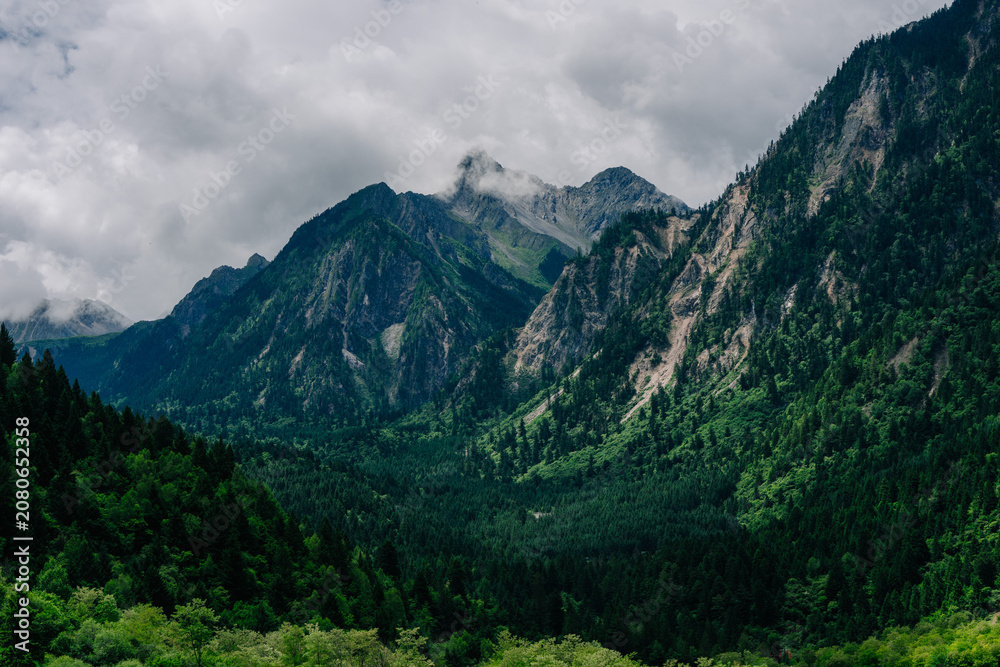 Fototapeta premium Dramatic mountain range shrouded in clouds, framed by lush green forests and valleys. A moody, expansive landscape.
