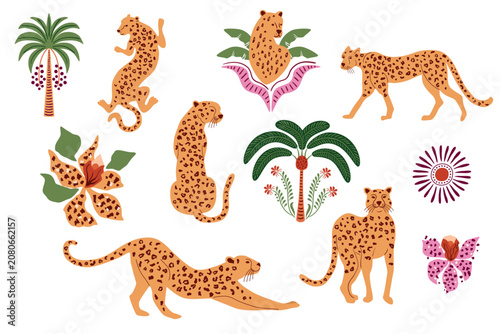 Tropical leopard, jaguar animal, palm tree, exotic flowers, jungle plants set. Hand drawn safari elements isolated on white, summer collection for prints, cards, invitations, logo. Vector illustration