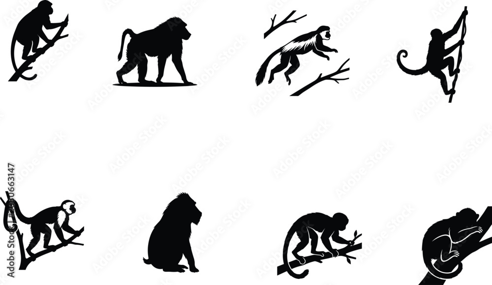 Obraz premium Monkey and Baboon Silhouette Collection Featuring Primate Wildlife Poses on Branches Isolated Black Vector Icon Set