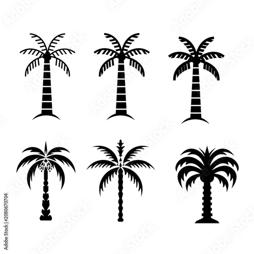 set of palm trees