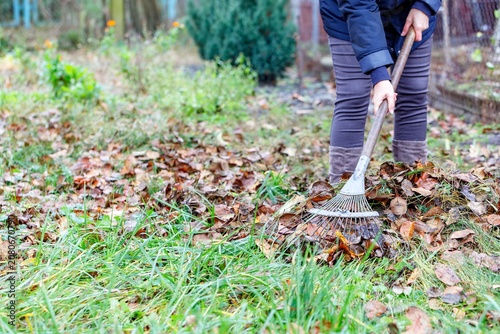 Person raking leaves in a garden during autumn season while cleaning the yard of fallen foliage and debris