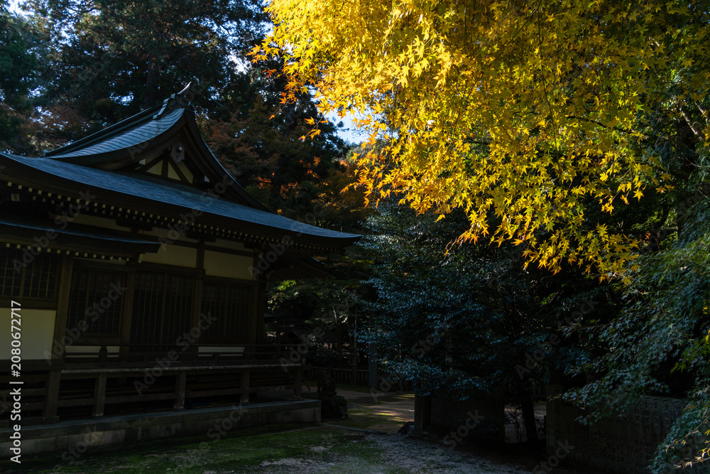 Obraz premium Taki Shrine in Imabari, Ehime, Japan – Traditional Shinto Shrine and Sacred Scenery