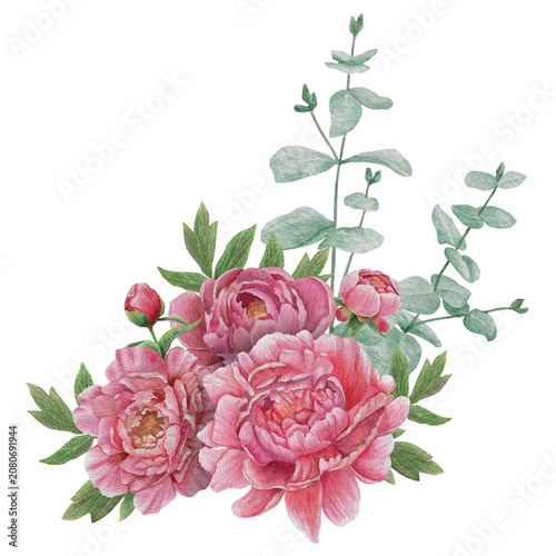 Vintage Watercolor Peony Tea Party Clipart Set Composition of peonies and eucalyptus Botanical Collection PNG transparent background