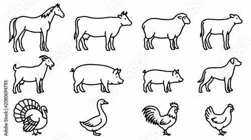 Foto Black and white line art of various farm animals.