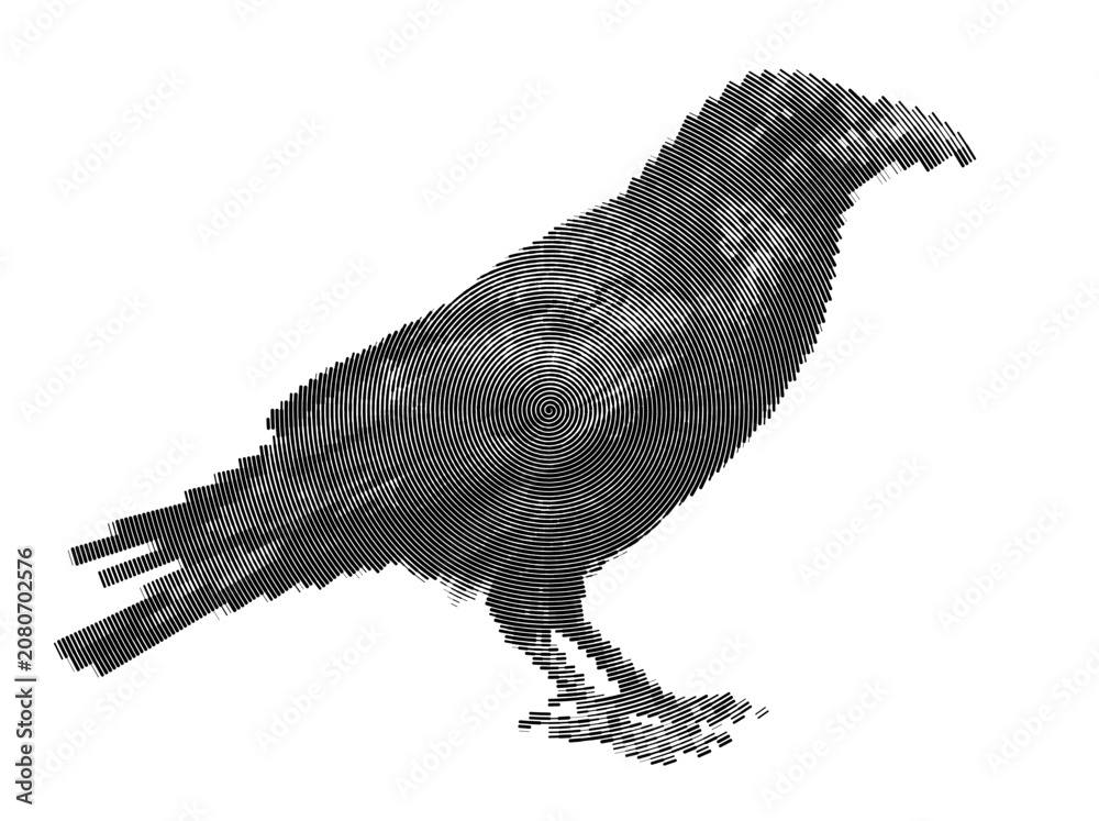Fototapeta premium Unique raven crow bird presenting wildlife dark animal styles for background spiral line art and halftone creative visual concepts.