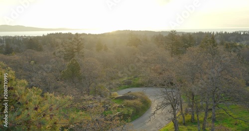 Winding asphalt road curved through forest hills at sunset