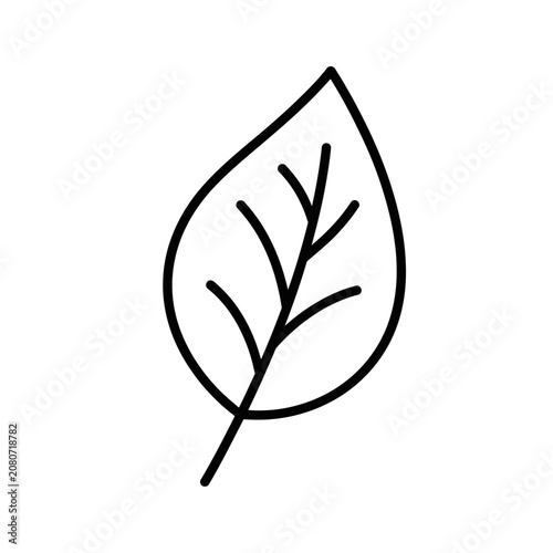 Simple black and white leaf illustration vector.