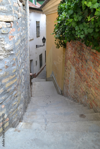 Photography Old Town Alley framed by Brick Walls and Greenery