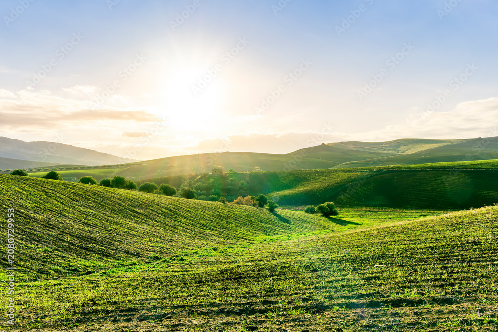 Fototapeta premium green field in countryside farm at sunset in evening light. beautiful spring landscape in hills. grassy field and hill. rural scenery
