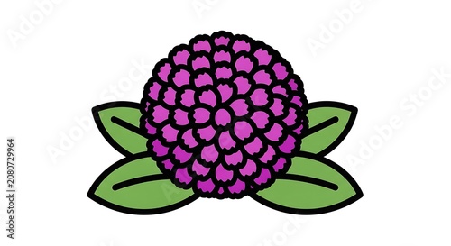 Purple flower with green leaves isolated.