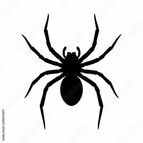 Tableau sur toile Black spider icon, spider silhouette, creepy crawly vector, arachnid symbol isol