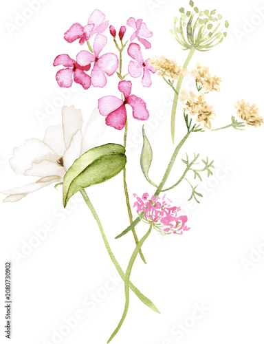 Watercolor Wildflower Bouquet With Cosmos Flowers