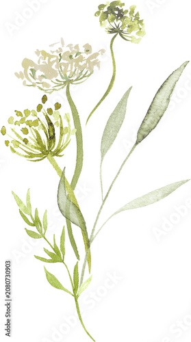 Watercolor Green Wildflower Botanical Bouquet Illustration