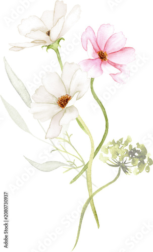 Soft Watercolor Cosmos Floral Bouquet Arrangement