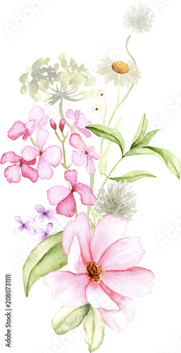 Watercolor Meadow Flower Bouquet Illustration
