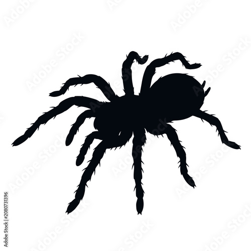 Tableau sur toile Black spider silhouette, creepy crawly insect, dark arachnid icon, scary bug iso
