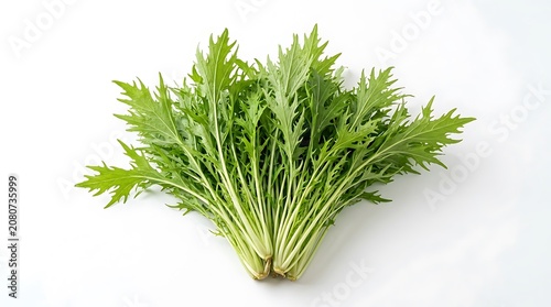Fresh green parsley bunch isolated on white.