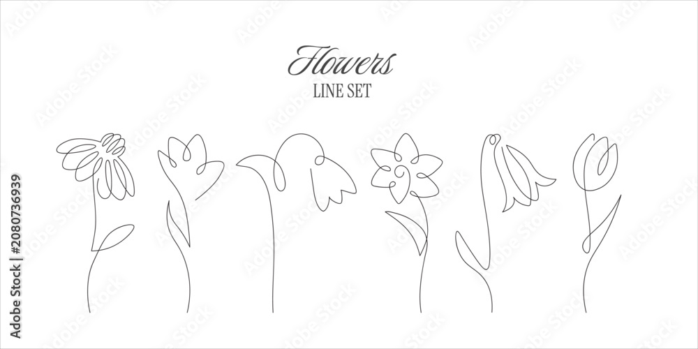 Naklejka premium Minimal one line flower collection with tulip, daisy, bellflower and wildflowers. Continuous botanical outline illustrations isolated on white background.