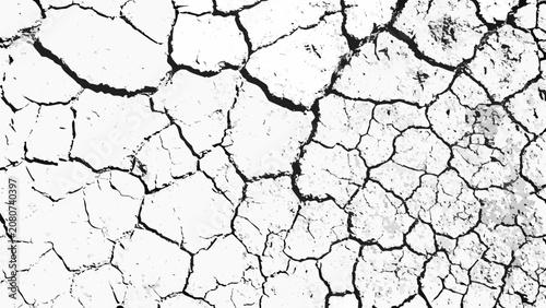 Tableau sur toile Cracked earth texture with irregular fissures a monochrome pattern on a white ba