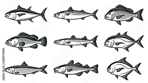 A monochrome flat vector icon set of 9 detailed ocean fish species including tuna, mackerel, snapper, grouper, barracuda, trevally, sardine, cod, and pomfret, realistic fish anatomy, detailed fins
