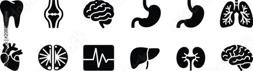 Schilderij op canvas Human organ, outline icons set, liver, brain, heart, lung, stomach, intestine, urinary system, bone, tooth, and skin layer, medical healthcare symbols, isolated on white background