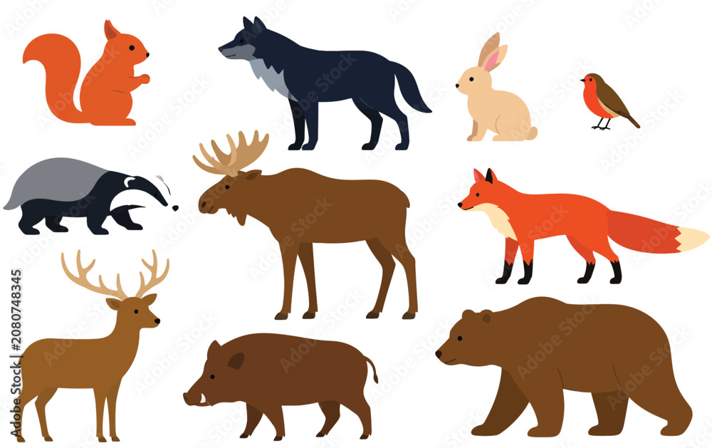 Obraz premium Wild mammals and birds native to a northern woodland habitat.