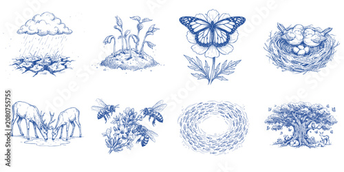 Nature Harmony Graphic Elements Collection with Birds Nest Deer Bees Butterfly Rain and Forest Ecosystem