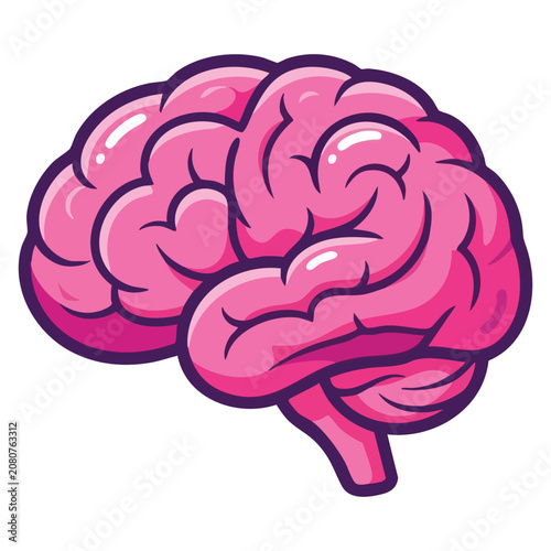 Tableau sur toile Illustrated Pink Human Brain Isolated