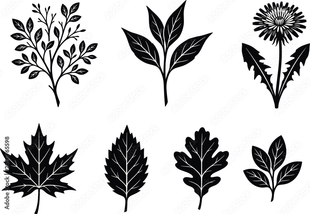 Obraz premium Botanical Leaf and Plant Silhouette Collection with Floral Nature Vector Set