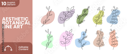 Boho Botanical Line Art