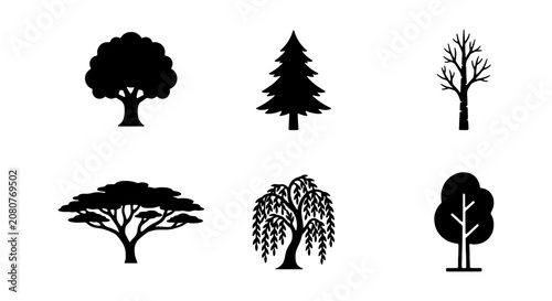 Diverse Tree Silhouettes, 6 Black Vector Icons, Nature and Forest Graphics, Botanical Elements