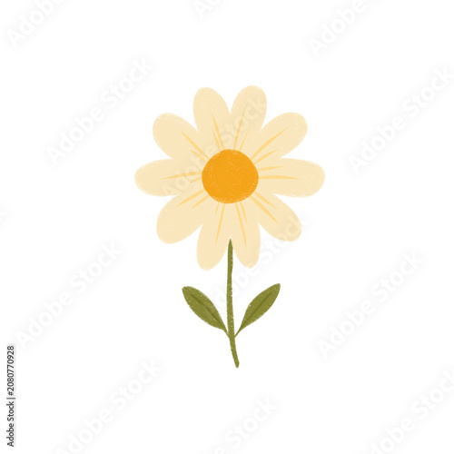 Simple illustration yellow daisy flower on transparent background