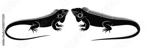Tableau sur toile Iguana lizard silhouette icons in smooth and spiky styles isolated black vector illustration for wildlife, reptiles, nature, and zoology themes