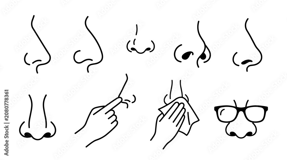Obraz premium Collection of diverse nose outlines and styles, including side profiles, front views, and actions like touching or cleaning, presented in a simple
