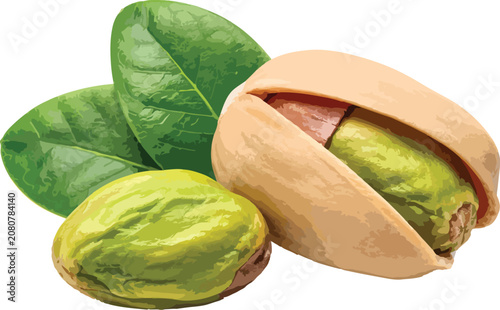 Pistachios with Green Leaves on White Background nuts