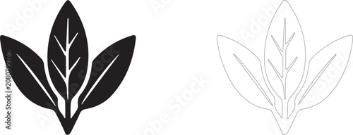 Foto Bay leaf Line Art icon, dried herbal condiment symbol, soup seasoning and culinary botany