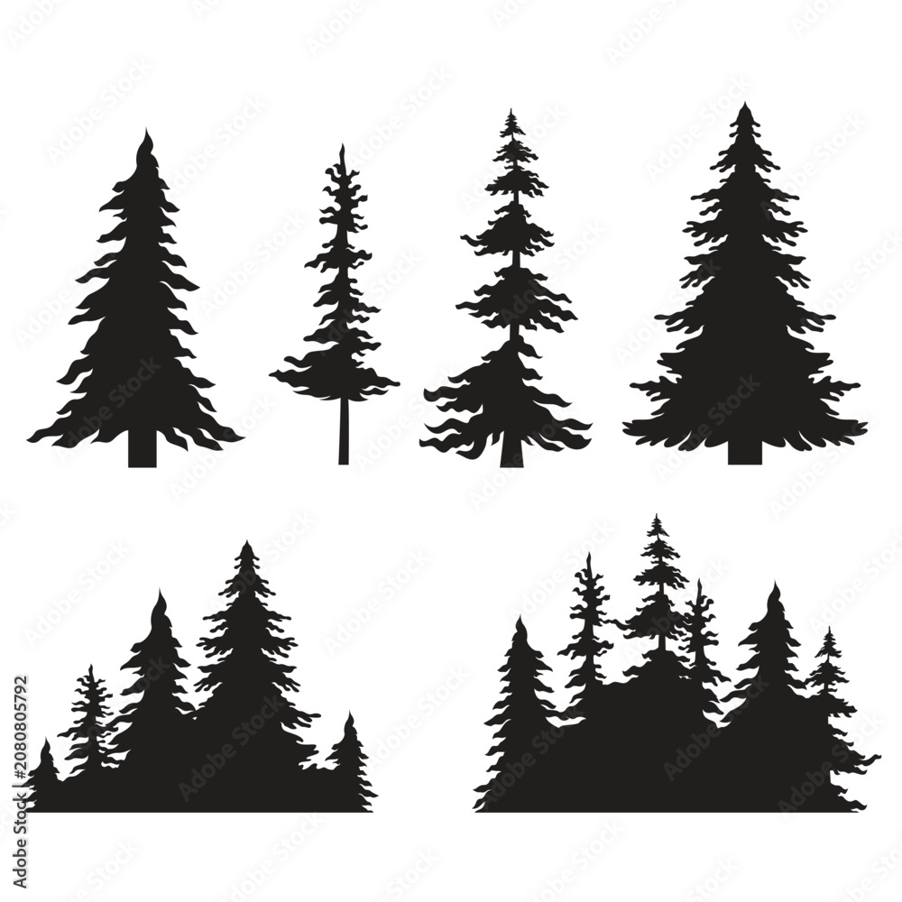 Fototapeta premium Black Silhouettes of Coniferous Pine and Fir Forest Trees Set on White Background for Nature Design Elements