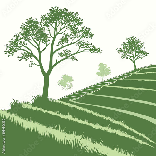 Fotografía Of green terraced fields on a hillside with several trees and lush vegetation un
