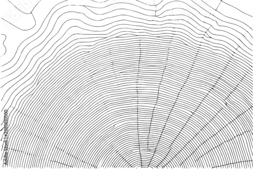 Tableau sur toile A detailed black and white showing the concentric growth rings of a tree trunk c