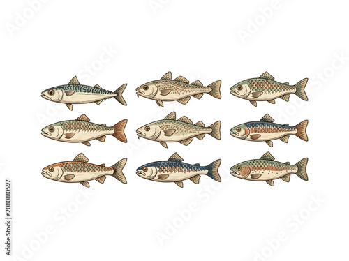 Collection Of Painted Wooden Fish Figures Displayed In Three Rows, Each Featuring Unique Patterns And Naturalistic Designs For Decorative Use, Vector Illustration