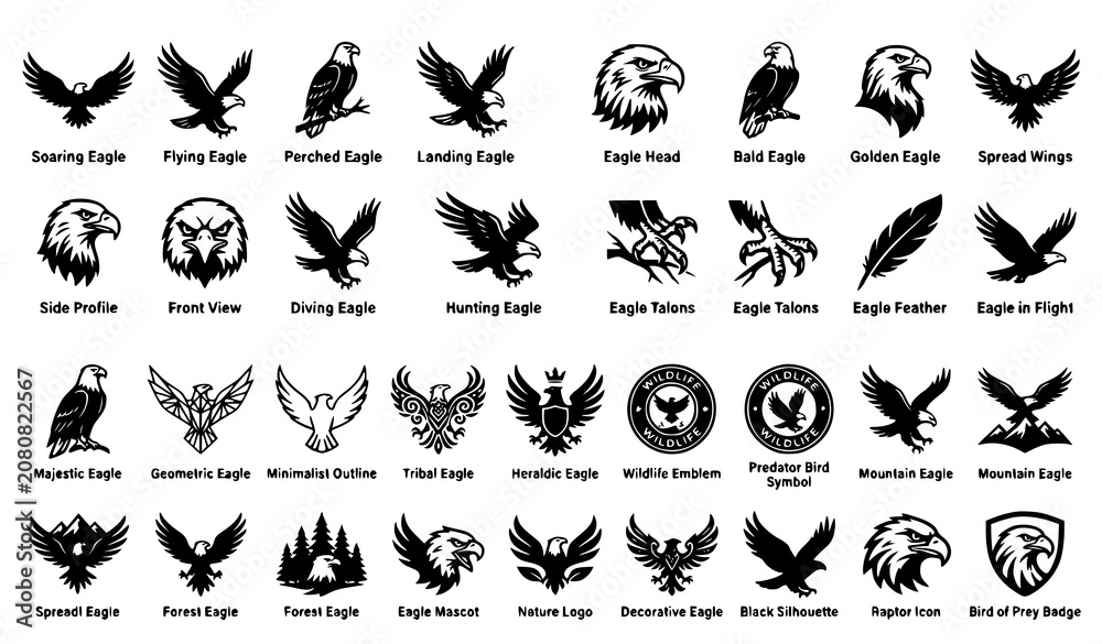 Fototapeta premium Eagle Silhouette and Bird of Prey Vector Icon Collection