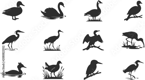 Foto Water Bird Silhouette Collection with Ducks Geese Herons Cranes and Wading Birds