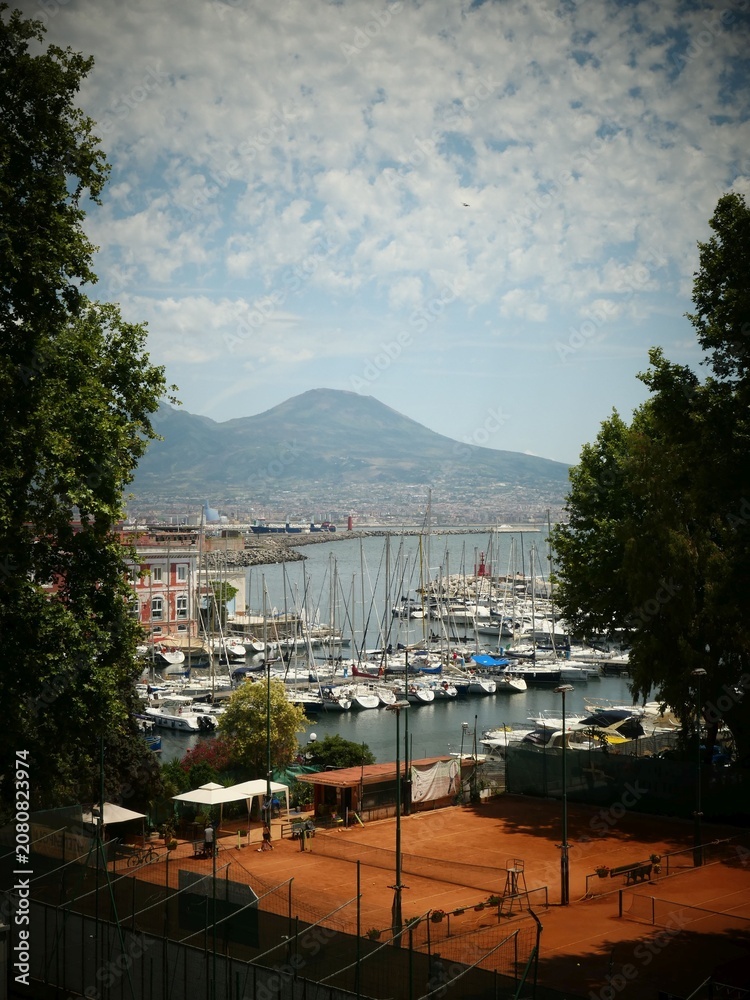 Fototapeta premium White sailboats and yachts moored at a coastal marina